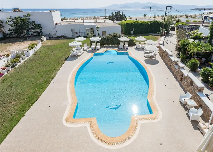 Ariadne איוס פרוקופיוס