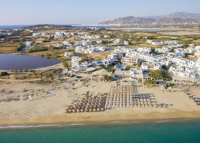 Ariadne איוס פרוקופיוס