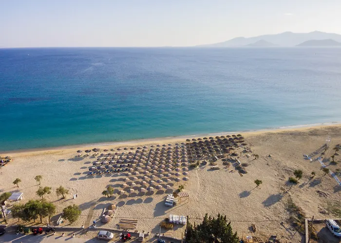 Ariadne איוס פרוקופיוס